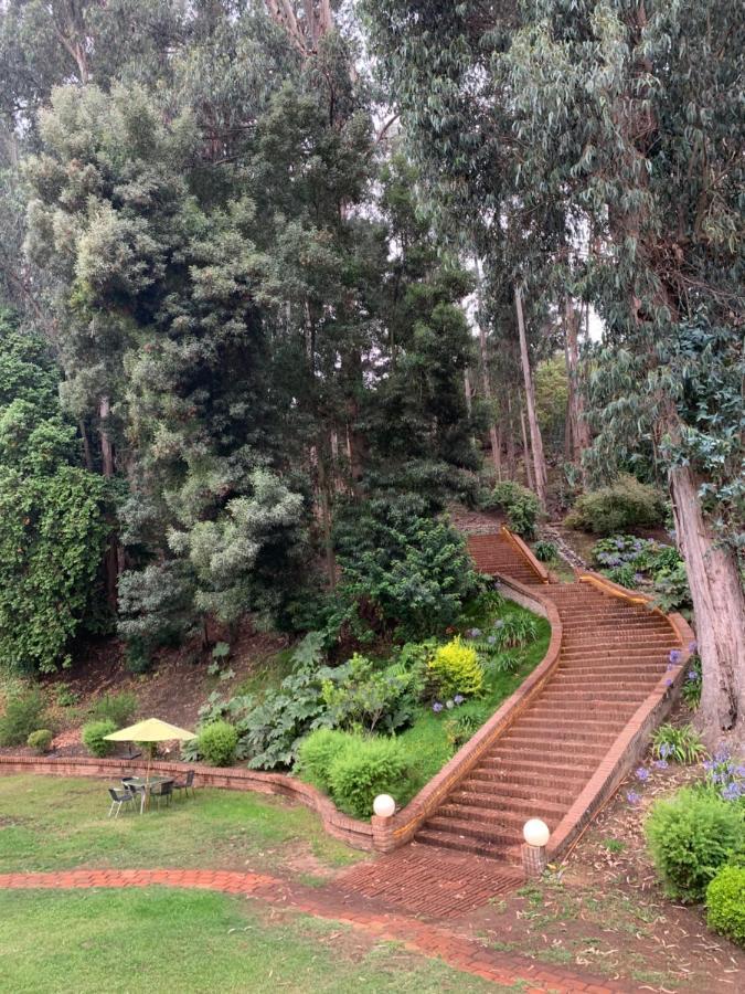 Hotel Bosque De Renaca Vina del Mar Buitenkant foto