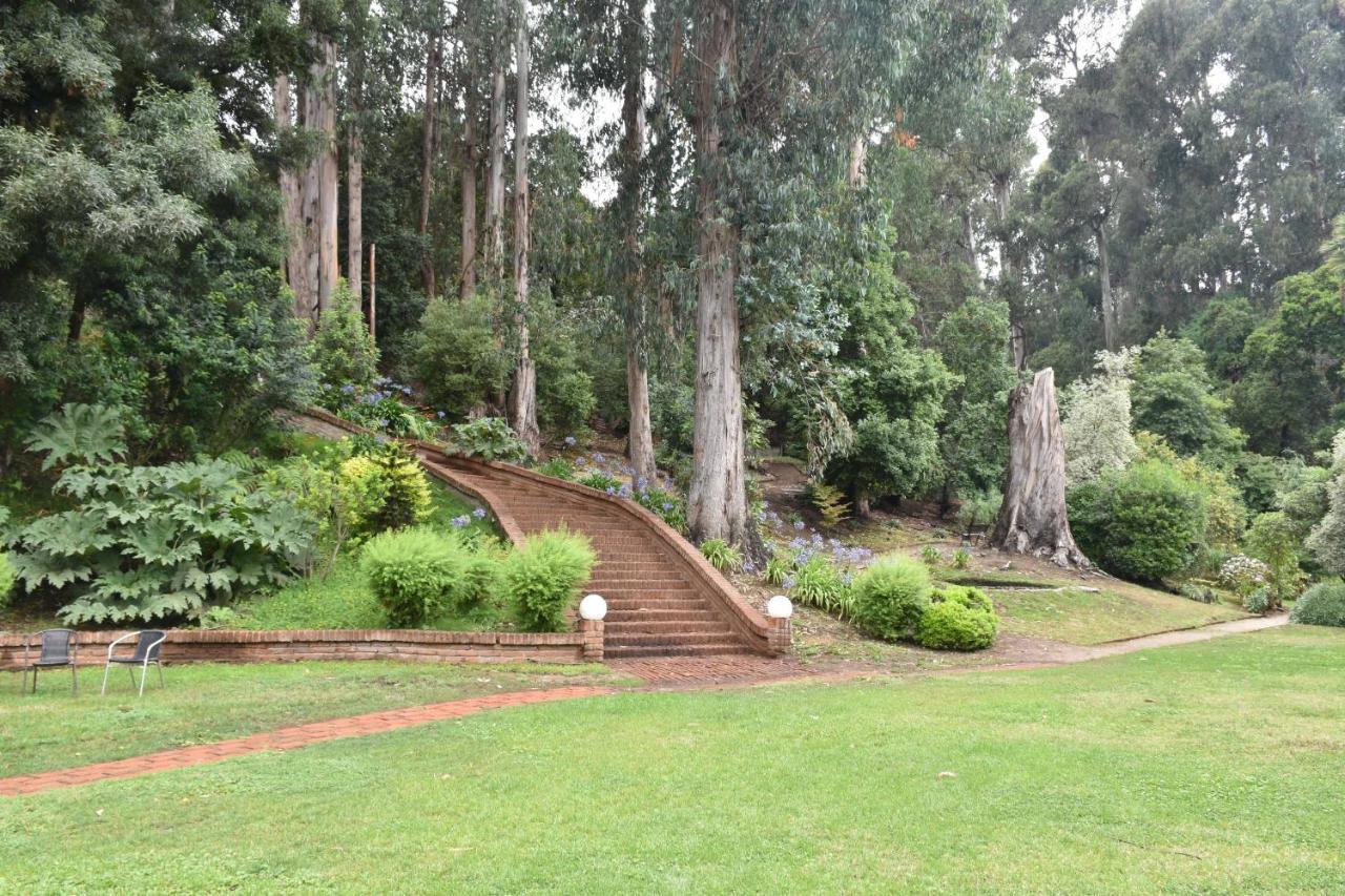 Hotel Bosque De Renaca Vina del Mar Buitenkant foto