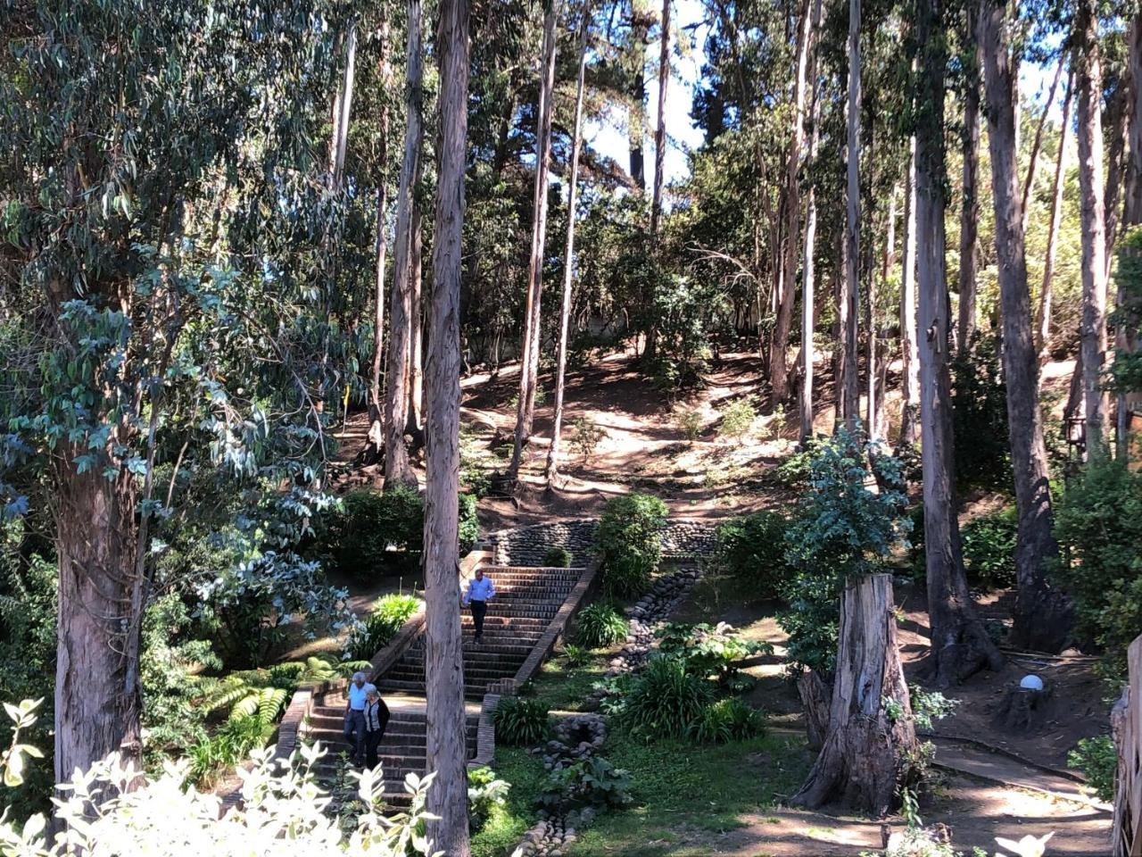 Hotel Bosque De Renaca Vina del Mar Buitenkant foto