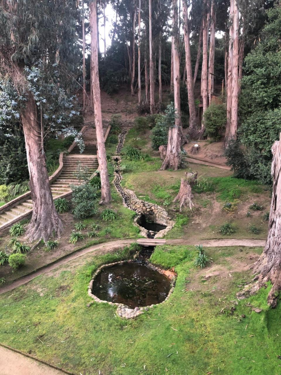 Hotel Bosque De Renaca Vina del Mar Buitenkant foto